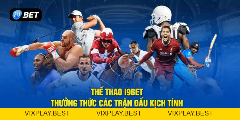 Cá Độ Thể Thao I9BET - Kinh Nghiệm Nhập Môn Cược Ăn Đậm - VIXPLAY.BEST