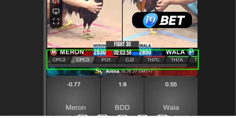 Mẹo Chơi Đá Gà I9BET Bất Bại Được Tiết Lộ Bởi Cao Thủ - VIXPLAY.BEST