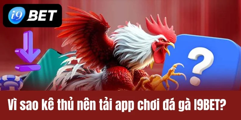 App Chơi Đá Gà I9BET – Cược An Toàn, Rút Tiền Siêu Tốc - VIXPLAY.BEST