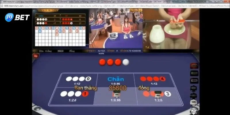Xóc Đĩa Trực Tuyến I9BET: Kiến Thức Nhập Môn Game Chơi - VIXPLAY.BEST